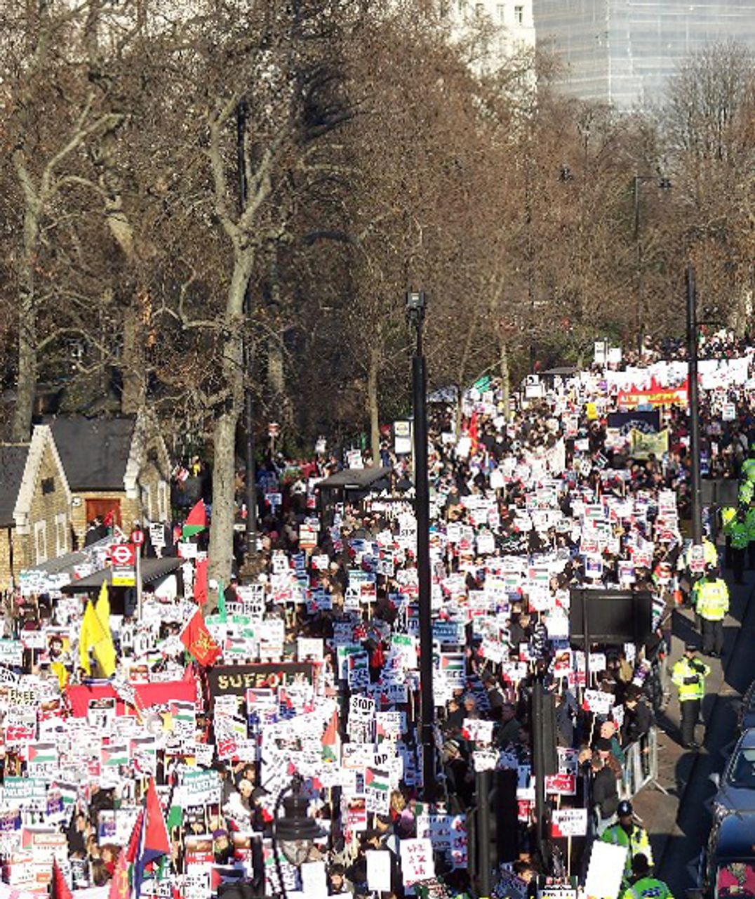 A section of the London protest