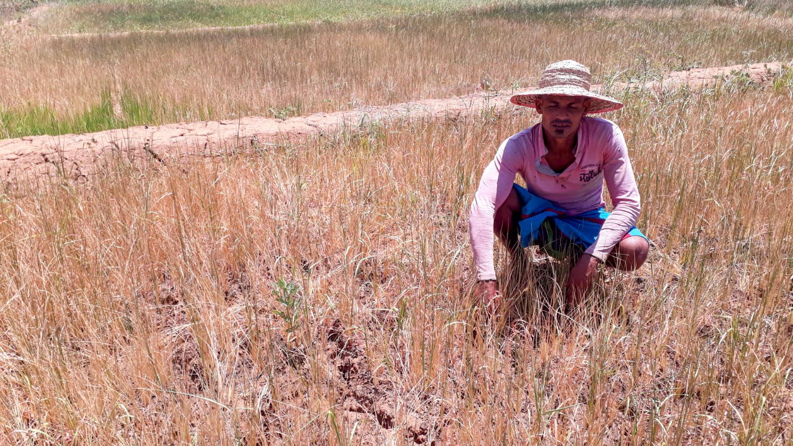 drought-affected-small-farmers-in-sri-lanka-denounce-government