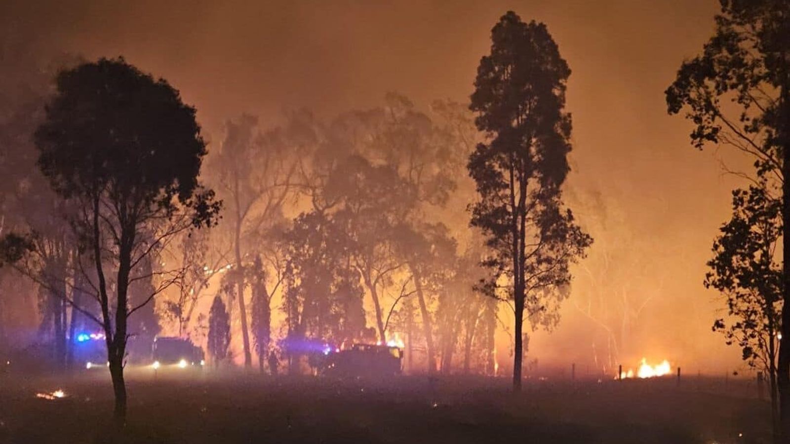 Record-breaking wildfires have occurred all over the Northern Hemisphere  during 2023, new report finds - ABC News