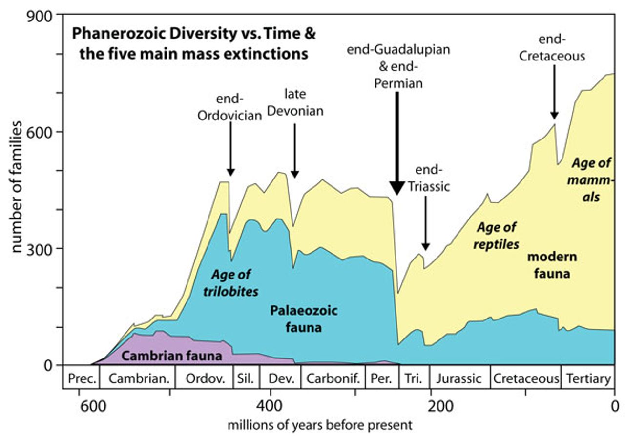 The Sixth Extinction By Elizabeth Kolbert World Socialist Web Site   Image 