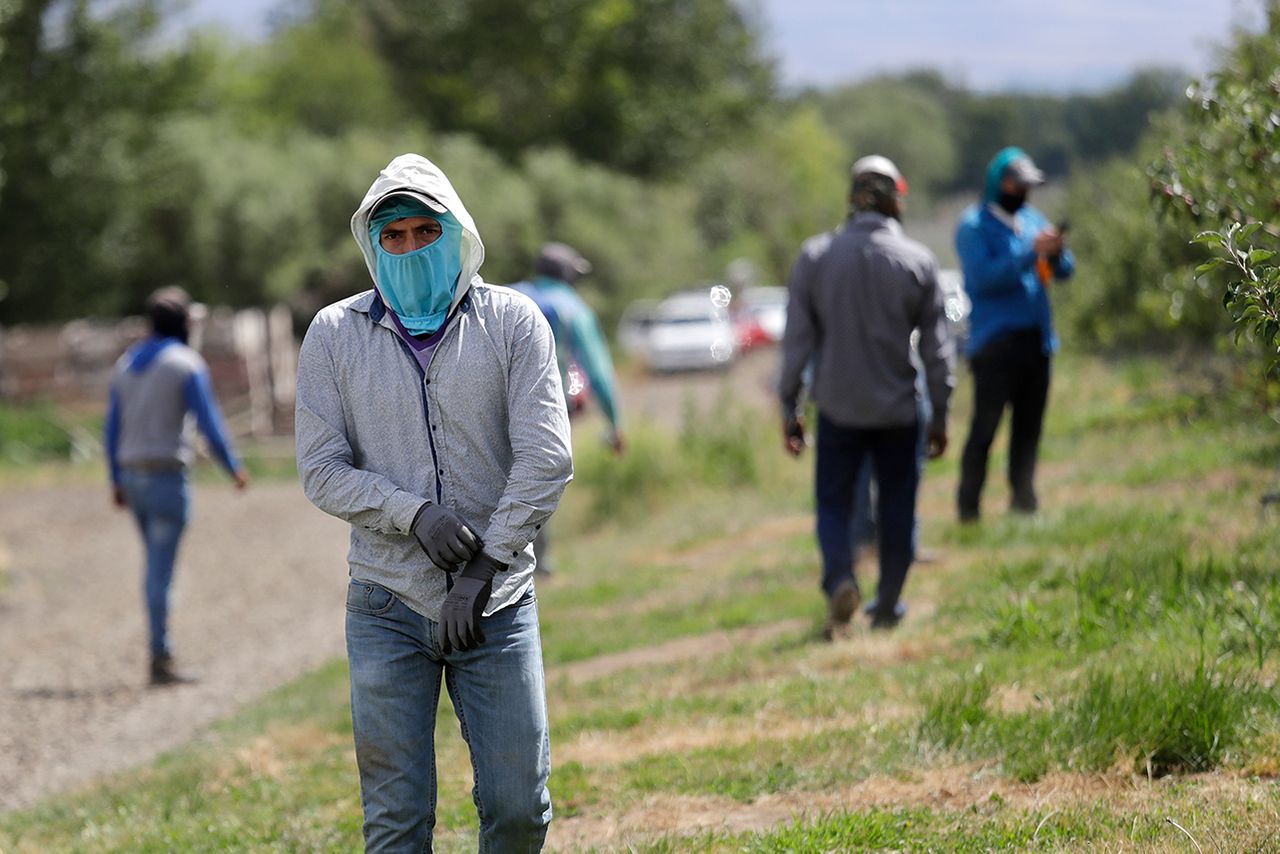 La Invisible Difícil Situación De Los Trabajadores Indocumentados En ...