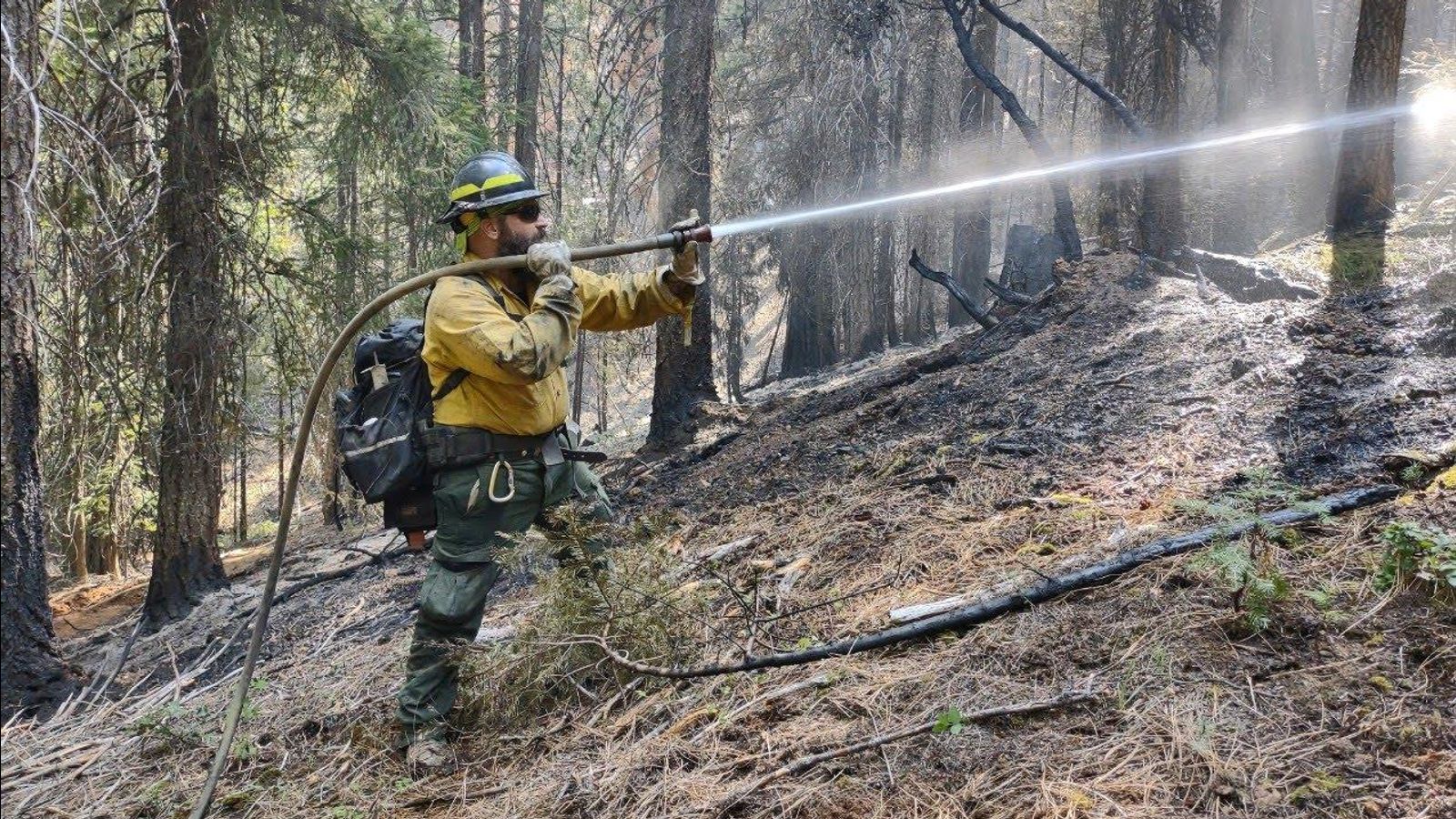 Georgia wildland sale fire boots