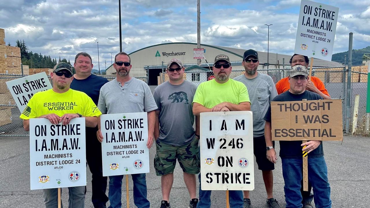 Lumber Workers In Washington And Oregon Continue Strike For Wage ...